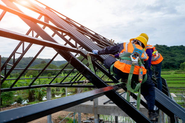 Best Roof Gutter Cleaning  in South Waverly, PA