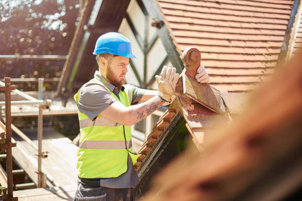 Professional Roofing Contractor in South Waverly, PA